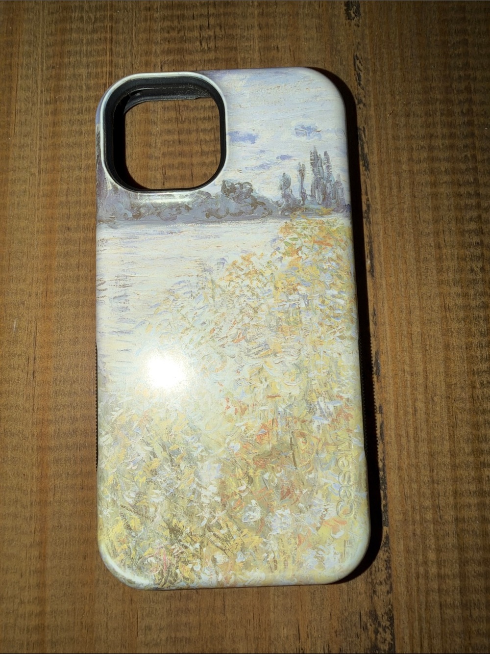 Casely Monet met series iPhone 15 Case Impressionist bold flex MagSafe like new